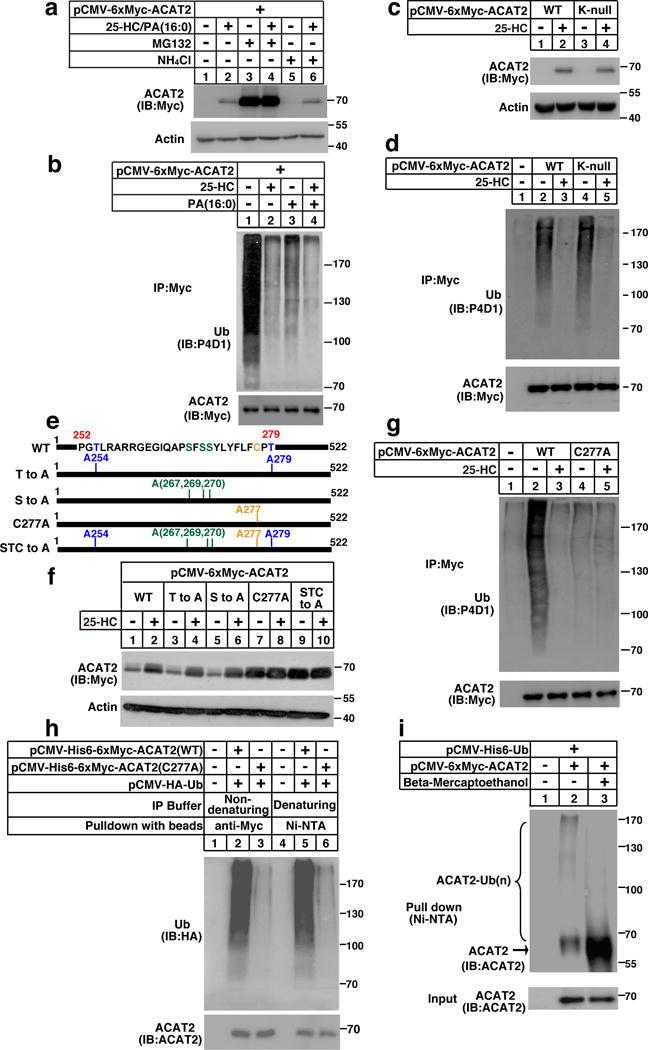 https://cdn.ncbi.nlm.nih.gov/pmc/blobs/bf3f/5518634/35394d55b75b/nihms875729f2.jpg