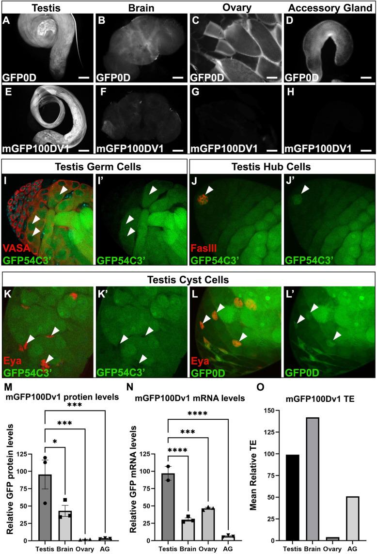https://cdn.ncbi.nlm.nih.gov/pmc/blobs/bf41/9116940/5e96d4cb6829/elife-76893-fig3.jpg