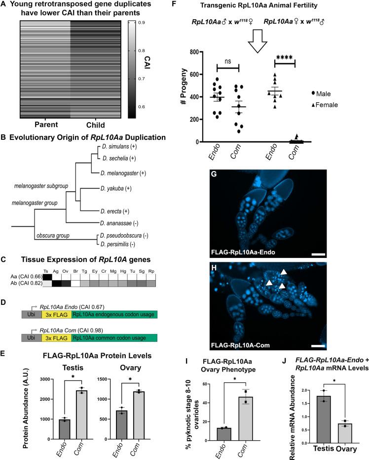 https://cdn.ncbi.nlm.nih.gov/pmc/blobs/bf41/9116940/e7cdd7359713/elife-76893-fig5.jpg