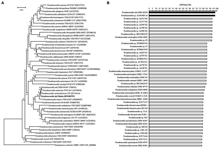 https://cdn.ncbi.nlm.nih.gov/pmc/blobs/bf42/8928166/6bb7c72a0c3f/fmicb-13-848964-g001.jpg