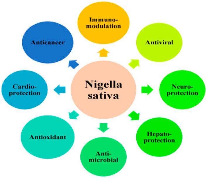 https://cdn.ncbi.nlm.nih.gov/pmc/blobs/bf43/9498113/aa5249e73dde/foods-11-02826-g003.jpg