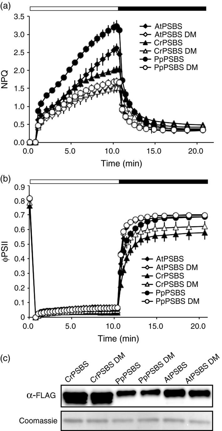 https://cdn.ncbi.nlm.nih.gov/pmc/blobs/bf44/5516181/fdb450e4dc21/TPJ-88-375-g003.jpg