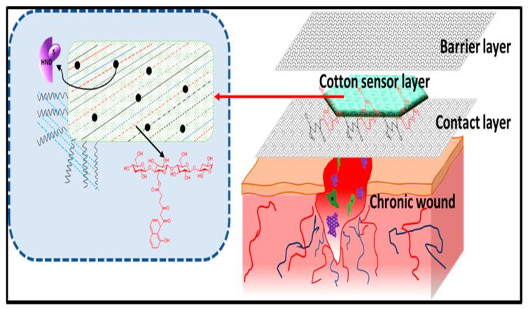 https://cdn.ncbi.nlm.nih.gov/pmc/blobs/bf46/8037842/3fbacdcd8c31/polymers-13-01006-g007.jpg