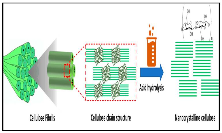 https://cdn.ncbi.nlm.nih.gov/pmc/blobs/bf46/8037842/6e3b4d67083f/polymers-13-01006-g009.jpg