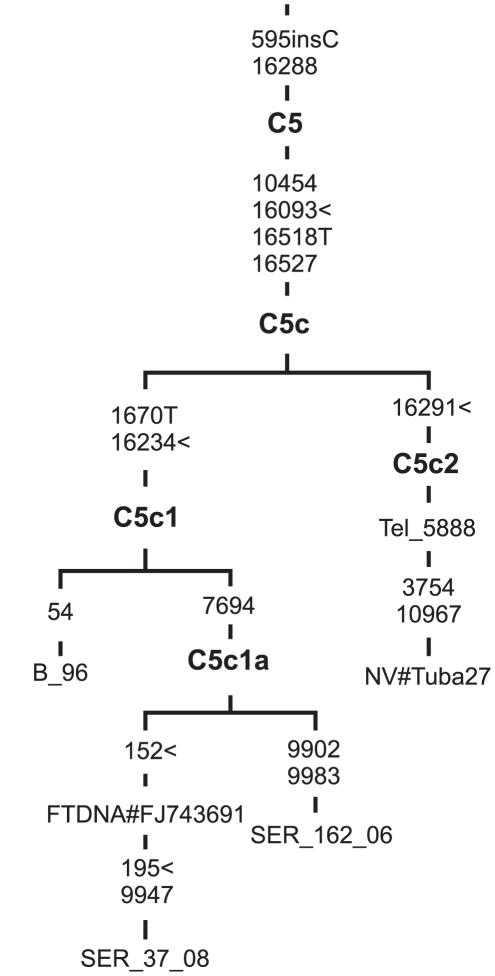 https://cdn.ncbi.nlm.nih.gov/pmc/blobs/bf47/3006427/7c7e831bf86f/pone.0015214.g002.jpg