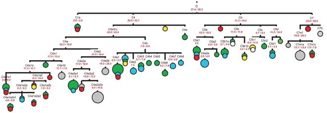 https://cdn.ncbi.nlm.nih.gov/pmc/blobs/bf47/3006427/e76b88d5b427/pone.0015214.g001.jpg