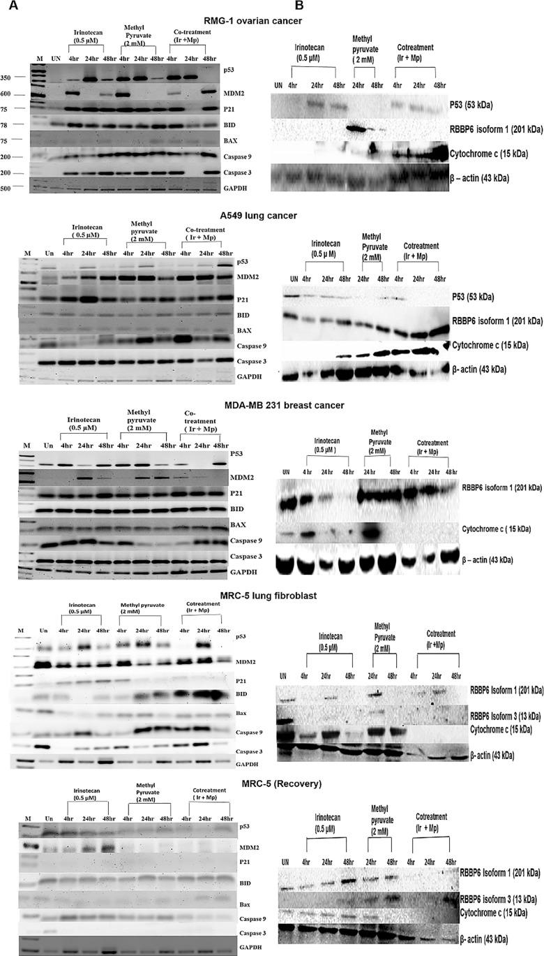 https://cdn.ncbi.nlm.nih.gov/pmc/blobs/bf47/5552298/4224f93224a8/pone.0182789.g003.jpg