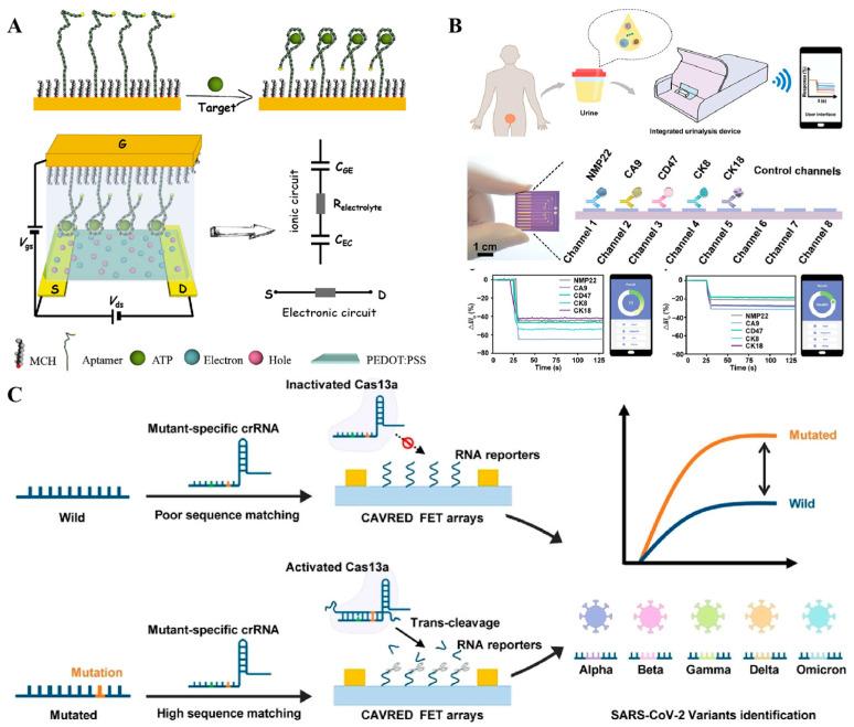 https://cdn.ncbi.nlm.nih.gov/pmc/blobs/bf48/12196720/85999c2b0acf/sensors-25-03587-g009.jpg