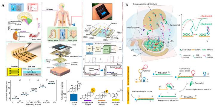 https://cdn.ncbi.nlm.nih.gov/pmc/blobs/bf48/12196720/b5412639e9ab/sensors-25-03587-g010.jpg