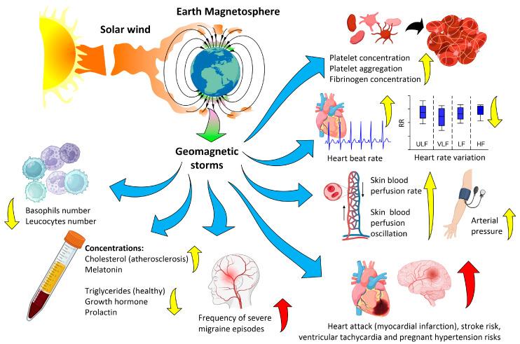 https://cdn.ncbi.nlm.nih.gov/pmc/blobs/bf49/10740910/2cb967949d2e/biology-12-01506-g002.jpg