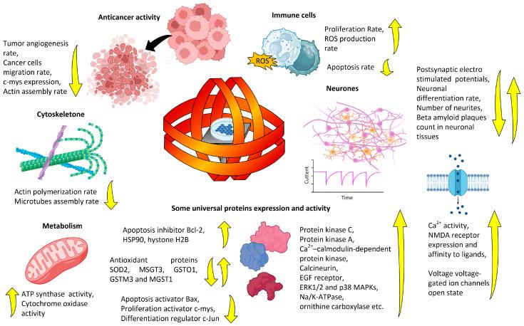 https://cdn.ncbi.nlm.nih.gov/pmc/blobs/bf49/10740910/45906149395a/biology-12-01506-g004.jpg