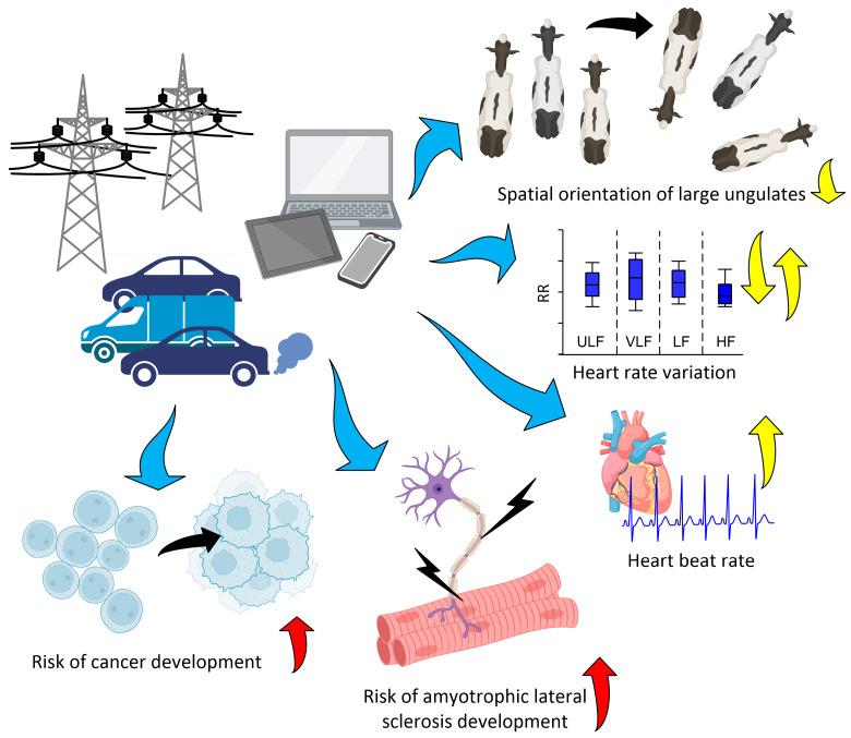 https://cdn.ncbi.nlm.nih.gov/pmc/blobs/bf49/10740910/5479af237624/biology-12-01506-g005.jpg