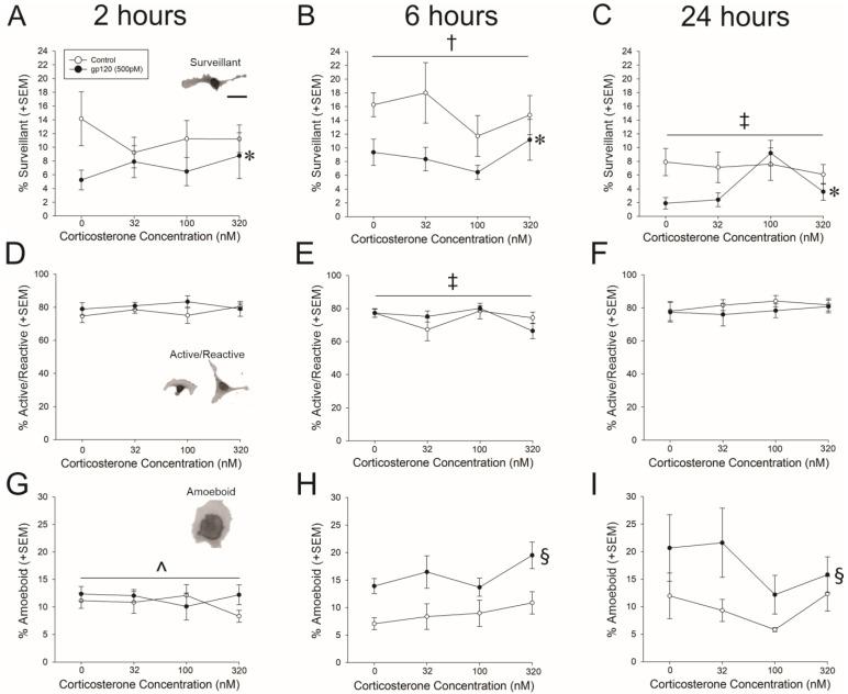 https://cdn.ncbi.nlm.nih.gov/pmc/blobs/bf49/9965171/ea76dfb26186/viruses-15-00424-g001.jpg