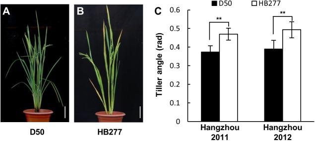 https://cdn.ncbi.nlm.nih.gov/pmc/blobs/bf4b/5444791/cce787da6295/pone.0178177.g001.jpg