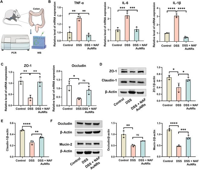 https://cdn.ncbi.nlm.nih.gov/pmc/blobs/bf50/12006742/0d4dee15c4d5/bmr.0195.fig.005.jpg