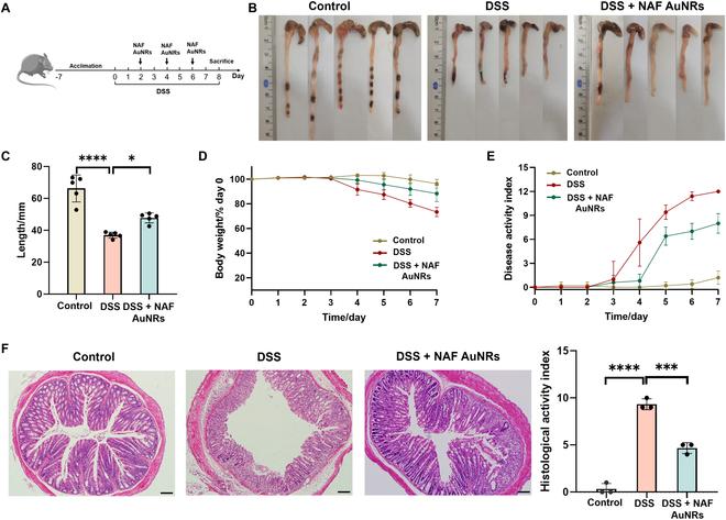 https://cdn.ncbi.nlm.nih.gov/pmc/blobs/bf50/12006742/1c6603d8b3d4/bmr.0195.fig.004.jpg