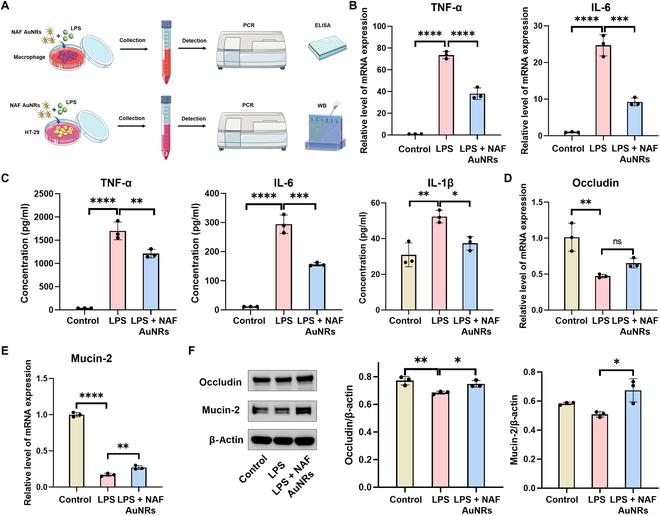 https://cdn.ncbi.nlm.nih.gov/pmc/blobs/bf50/12006742/48334769ec63/bmr.0195.fig.003.jpg