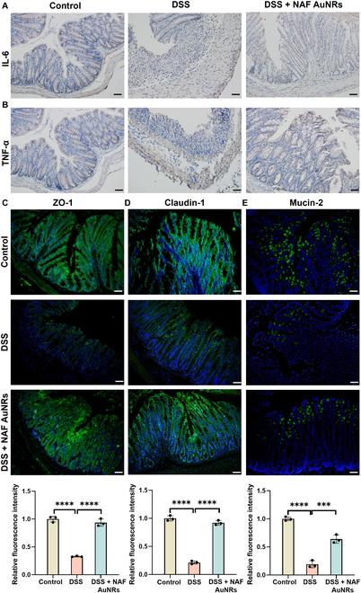 https://cdn.ncbi.nlm.nih.gov/pmc/blobs/bf50/12006742/e789f619eead/bmr.0195.fig.006.jpg
