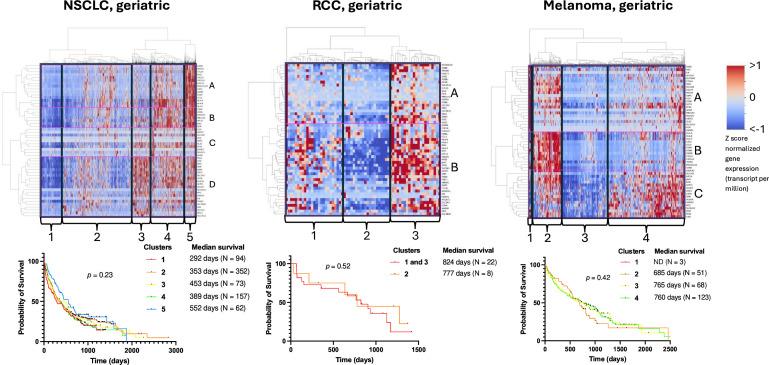 https://cdn.ncbi.nlm.nih.gov/pmc/blobs/bf51/11751915/5a2e23e0b583/bmjonc-4-1-g006.jpg