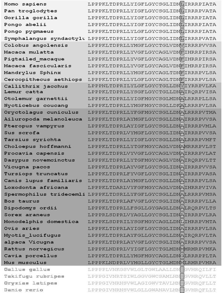 https://cdn.ncbi.nlm.nih.gov/pmc/blobs/bf51/4224335/fd5296dcdaf8/evu208f1p.jpg