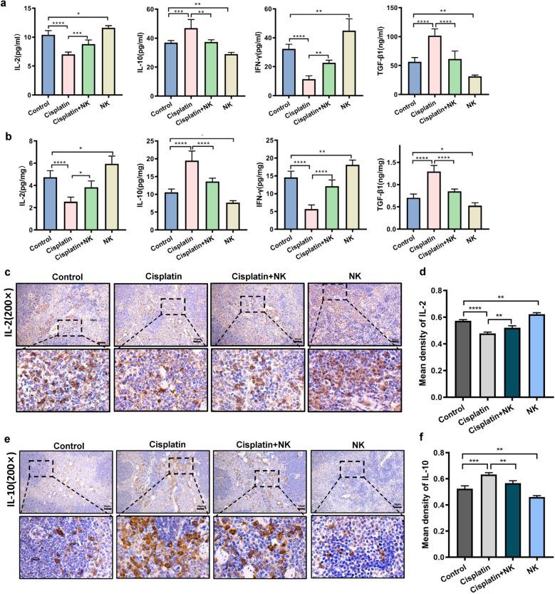 https://cdn.ncbi.nlm.nih.gov/pmc/blobs/bf52/10329593/35cd1a0d8a22/11255_2023_3650_Fig4_HTML.jpg