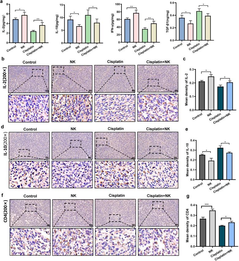 https://cdn.ncbi.nlm.nih.gov/pmc/blobs/bf52/10329593/495bd111bb87/11255_2023_3650_Fig5_HTML.jpg