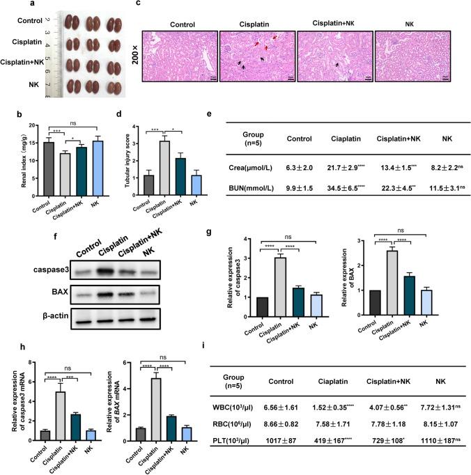 https://cdn.ncbi.nlm.nih.gov/pmc/blobs/bf52/10329593/af5a2b293e79/11255_2023_3650_Fig2_HTML.jpg