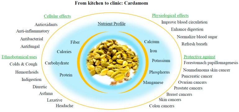 https://cdn.ncbi.nlm.nih.gov/pmc/blobs/bf54/11430645/5b08cee6311e/biomolecules-14-01166-g001.jpg