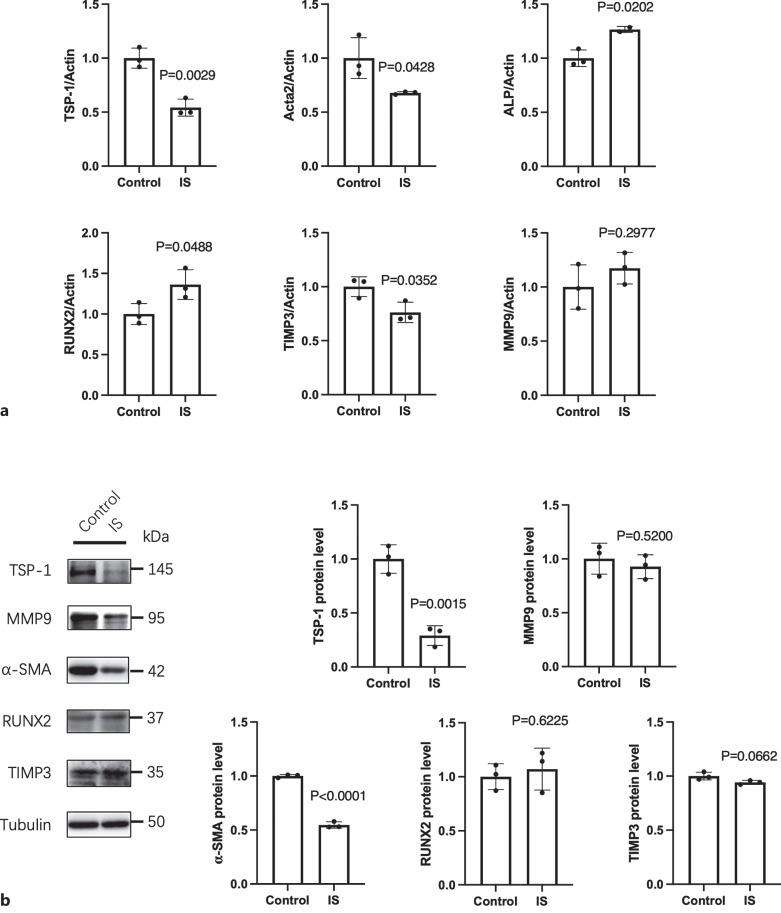 https://cdn.ncbi.nlm.nih.gov/pmc/blobs/bf55/10614470/08e31c505893/jvr-2023-0060-0004-532028_F02.jpg