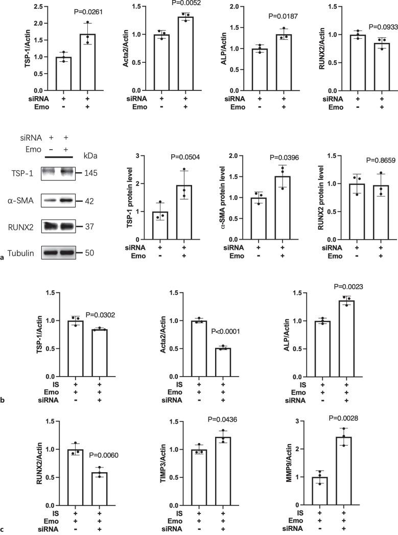 https://cdn.ncbi.nlm.nih.gov/pmc/blobs/bf55/10614470/3decac0bb0ed/jvr-2023-0060-0004-532028_F05.jpg