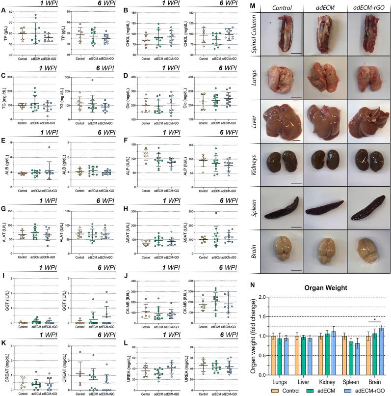 https://cdn.ncbi.nlm.nih.gov/pmc/blobs/bf57/11061343/9a87306d55de/gr6.jpg