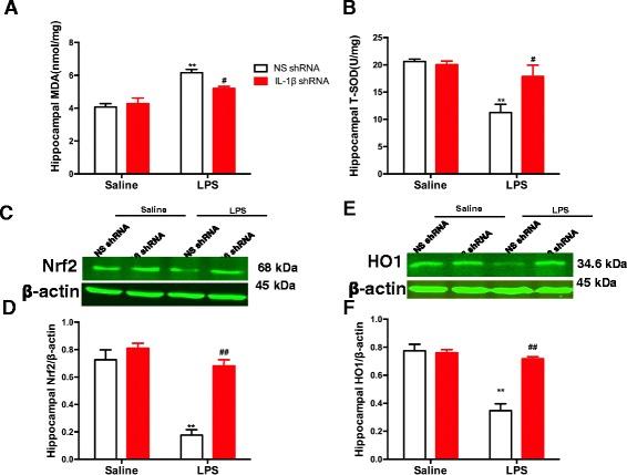 https://cdn.ncbi.nlm.nih.gov/pmc/blobs/bf57/5607621/9537d3cacd58/12974_2017_964_Fig3_HTML.jpg