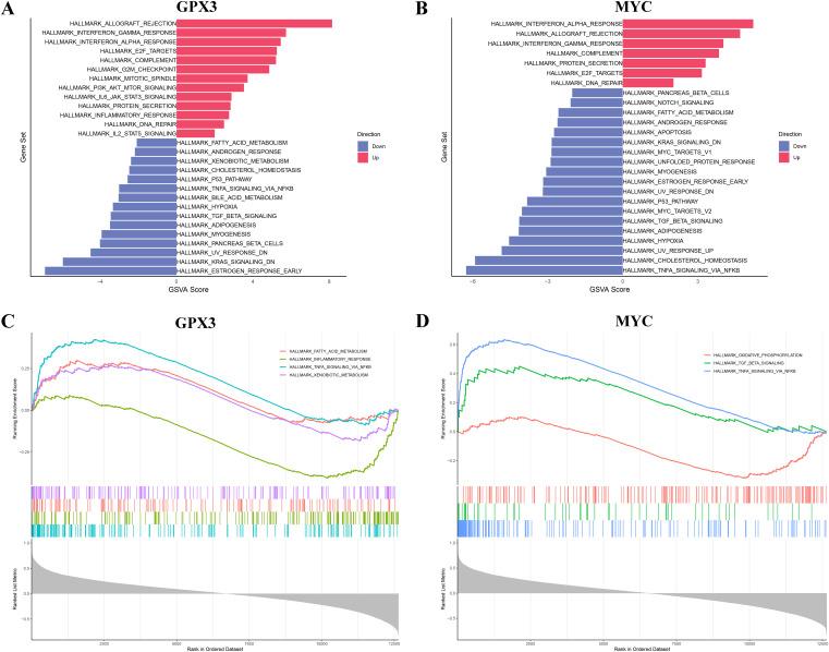 https://cdn.ncbi.nlm.nih.gov/pmc/blobs/bf5a/12283288/2b3bc1ac2cff/fimmu-16-1608262-g006.jpg