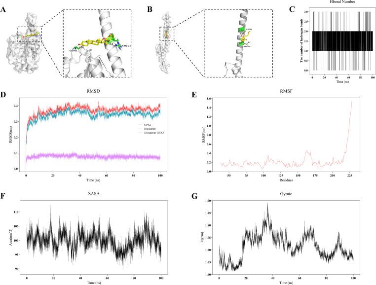 https://cdn.ncbi.nlm.nih.gov/pmc/blobs/bf5a/12283288/64ac22e58a4a/fimmu-16-1608262-g009.jpg