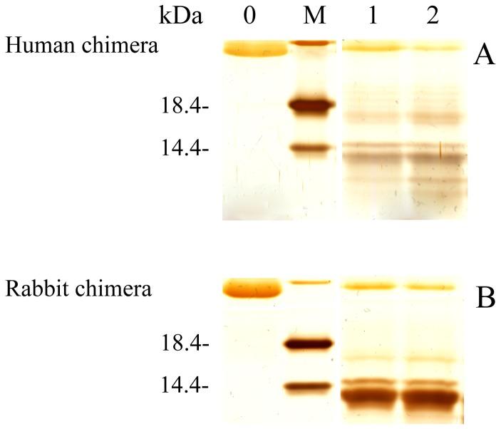 https://cdn.ncbi.nlm.nih.gov/pmc/blobs/bf5c/4234653/1571663560b9/pone.0113238.g006.jpg