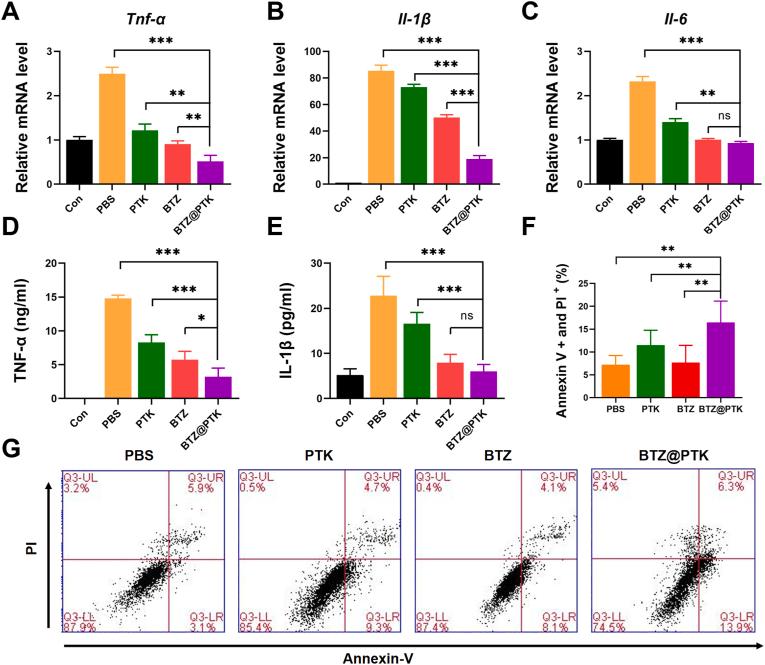 https://cdn.ncbi.nlm.nih.gov/pmc/blobs/bf5d/10755683/5d3da7d4d8e0/gr3.jpg
