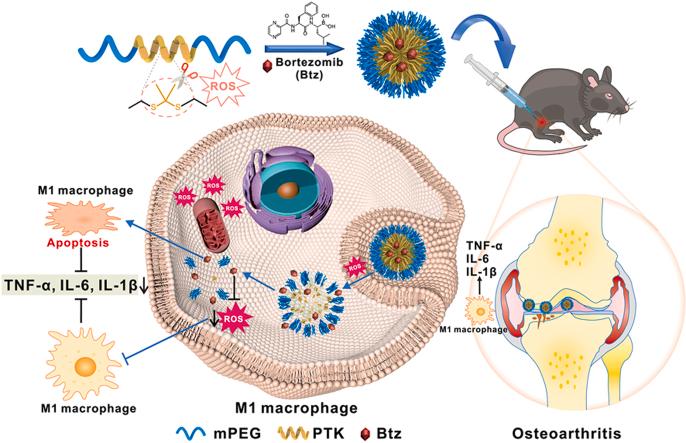 https://cdn.ncbi.nlm.nih.gov/pmc/blobs/bf5d/10755683/6b6928e10373/ga1.jpg