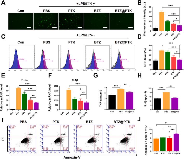 https://cdn.ncbi.nlm.nih.gov/pmc/blobs/bf5d/10755683/88a4d3288c4c/gr4.jpg