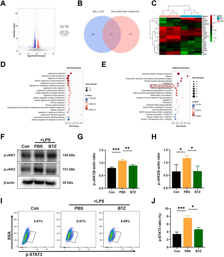 https://cdn.ncbi.nlm.nih.gov/pmc/blobs/bf5d/10755683/9a48d822d646/gr9.jpg