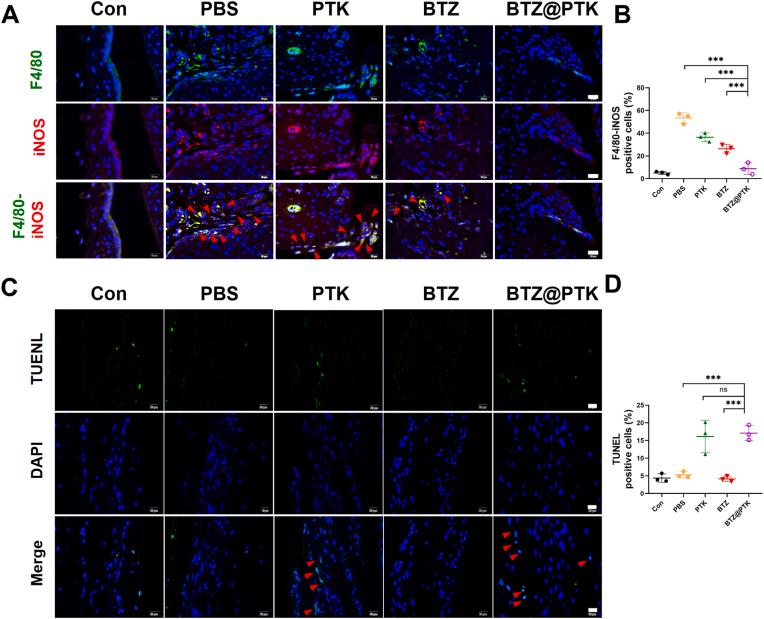 https://cdn.ncbi.nlm.nih.gov/pmc/blobs/bf5d/10755683/e0787f89ceef/gr8.jpg