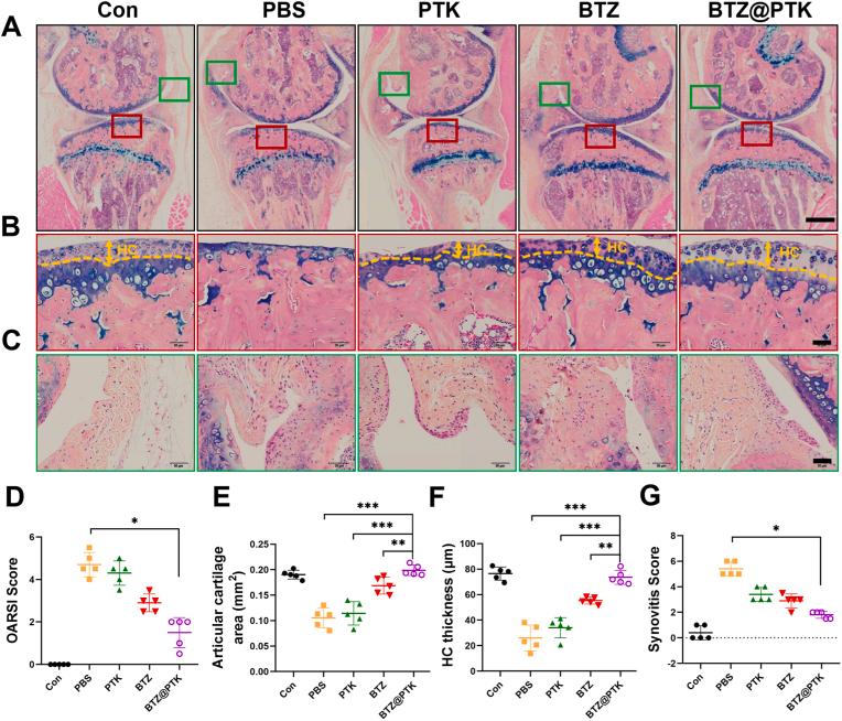 https://cdn.ncbi.nlm.nih.gov/pmc/blobs/bf5d/10755683/ef4ac78f151e/gr6.jpg