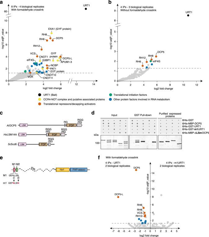 https://cdn.ncbi.nlm.nih.gov/pmc/blobs/bf5d/7910438/1fb5ef18f409/41467_2021_21382_Fig2_HTML.jpg