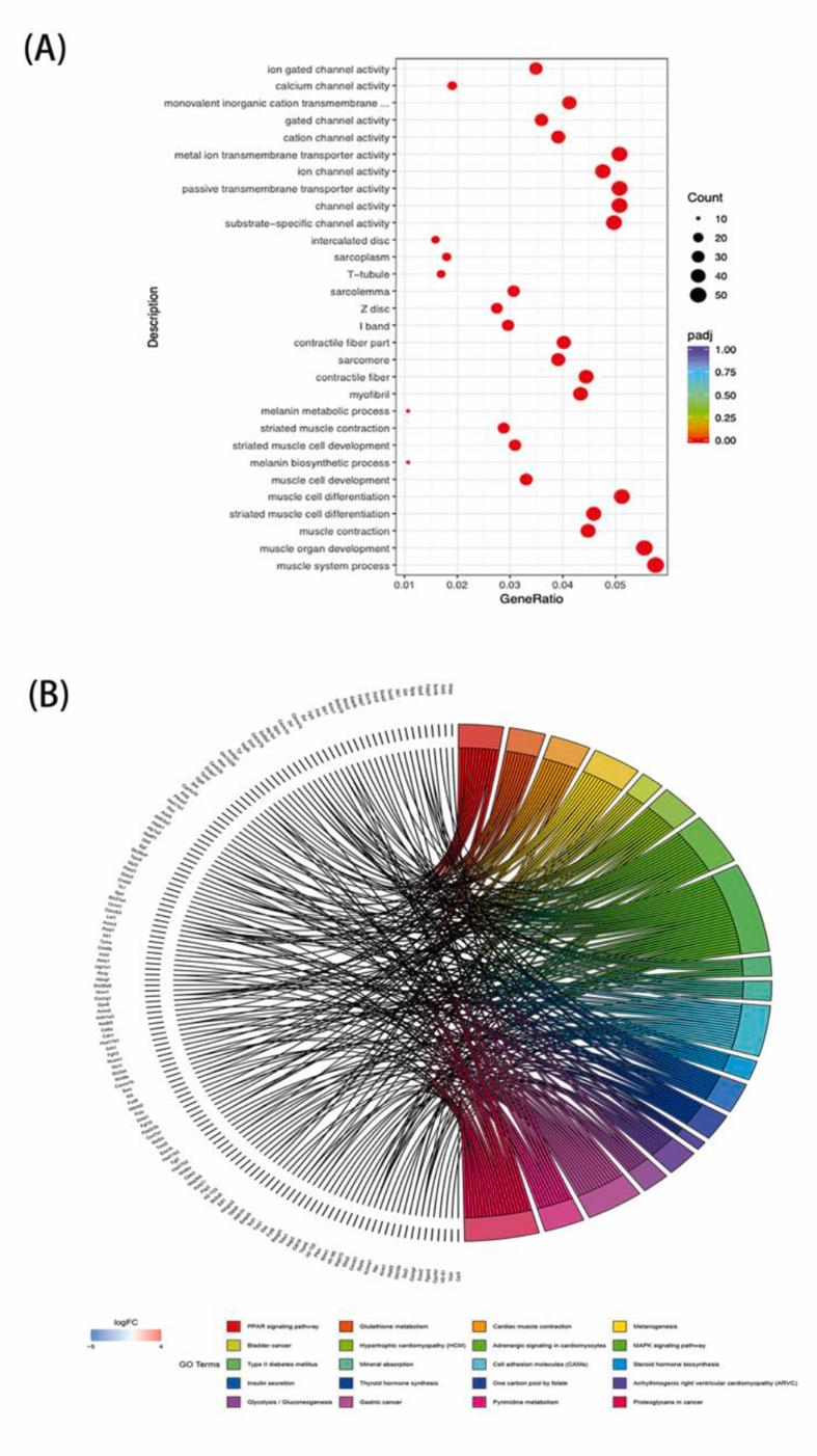 https://cdn.ncbi.nlm.nih.gov/pmc/blobs/bf61/9363970/9a00fd0be761/gr6.jpg