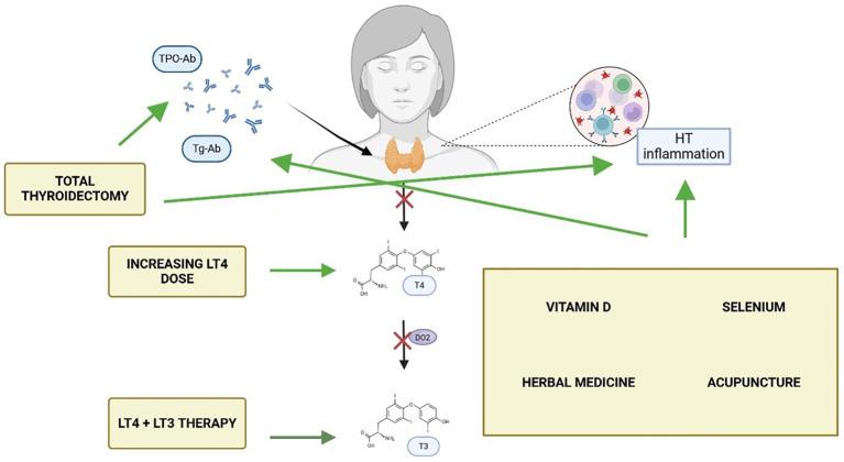 https://cdn.ncbi.nlm.nih.gov/pmc/blobs/bf63/12313505/41f1a5411778/fendo-16-1627787-g001.jpg