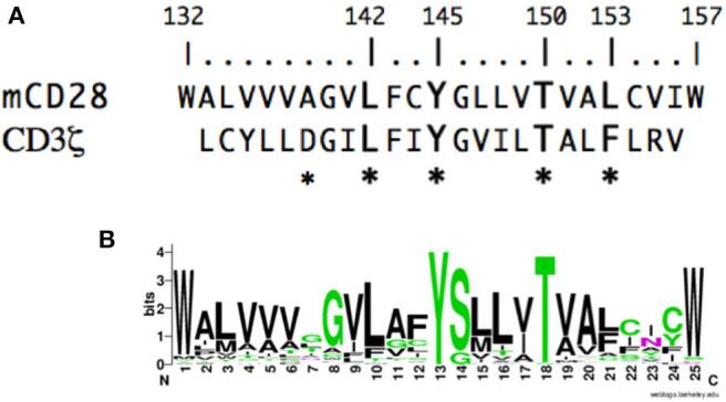 https://cdn.ncbi.nlm.nih.gov/pmc/blobs/bf64/7378745/4d7989451a3e/fimmu-11-01519-g0001.jpg