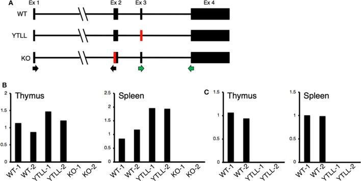 https://cdn.ncbi.nlm.nih.gov/pmc/blobs/bf64/7378745/ca795e636bce/fimmu-11-01519-g0007.jpg