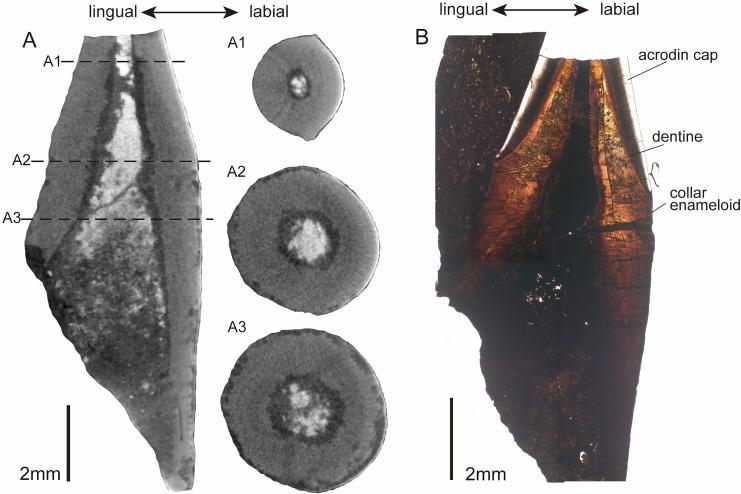 https://cdn.ncbi.nlm.nih.gov/pmc/blobs/bf65/11662892/85d8bd736412/peerj-12-18728-g004.jpg