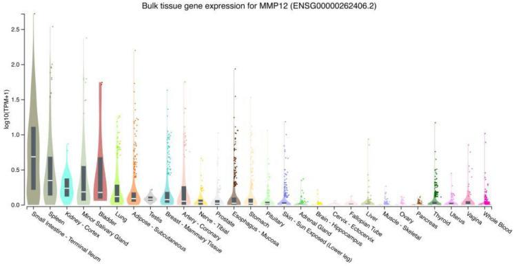 https://cdn.ncbi.nlm.nih.gov/pmc/blobs/bf66/10002488/7c76b6dbca60/ijms-24-04648-g001.jpg