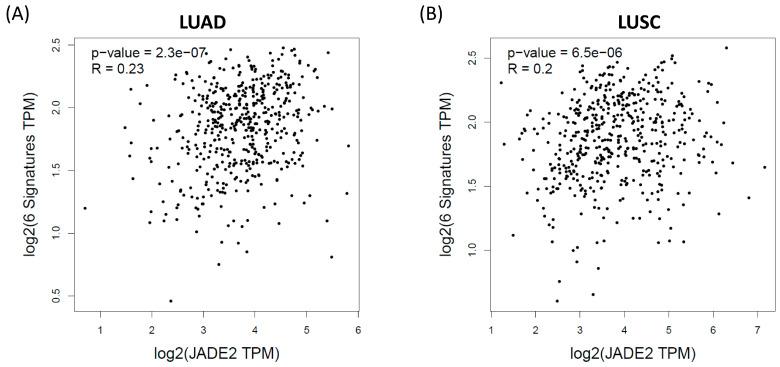 https://cdn.ncbi.nlm.nih.gov/pmc/blobs/bf67/10526426/312abf922c6a/biomedicines-11-02576-g007.jpg