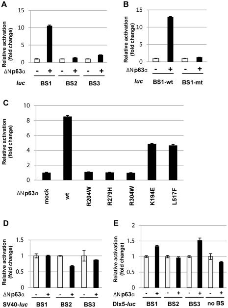 https://cdn.ncbi.nlm.nih.gov/pmc/blobs/bf67/2924305/637a4f5ecd6a/pgen.1001065.g004.jpg